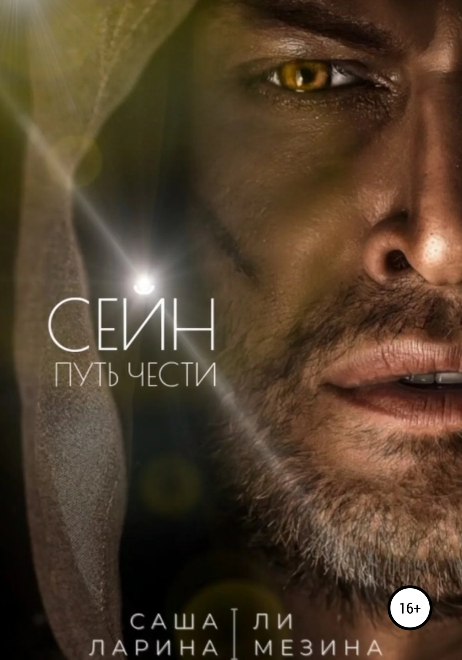 Обложка Сейн. Путь чести