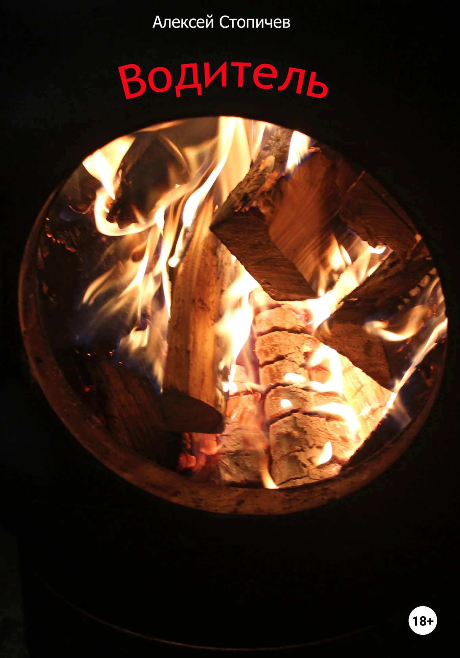 Обложка Водитель