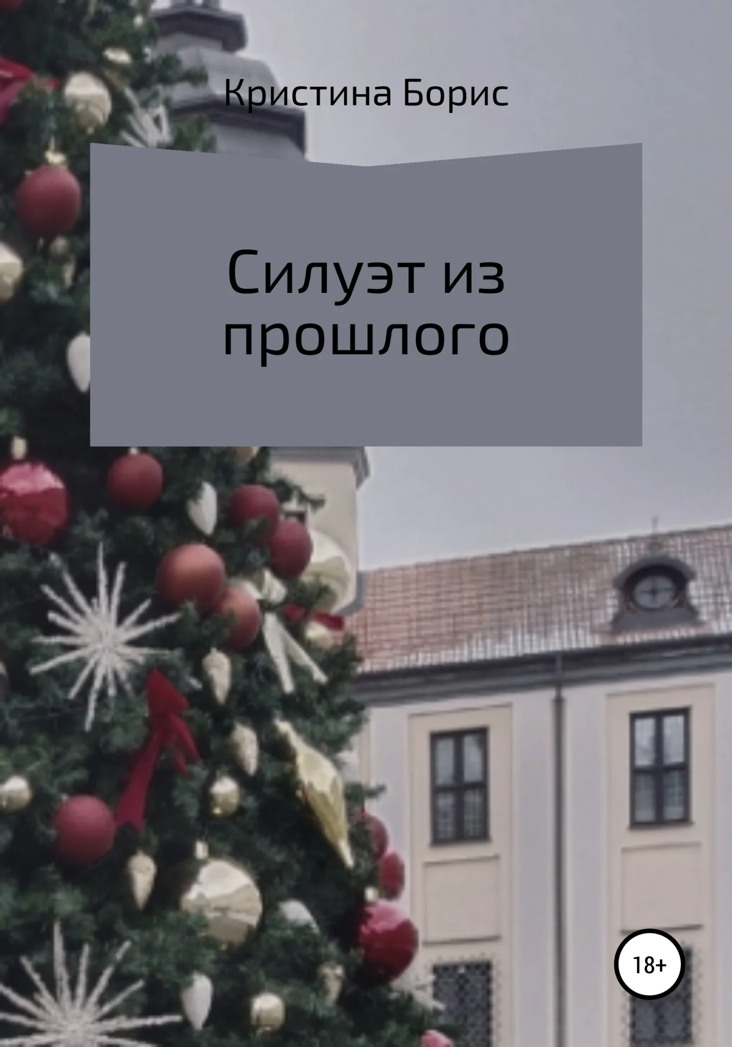 Обложка Силуэт из прошлого