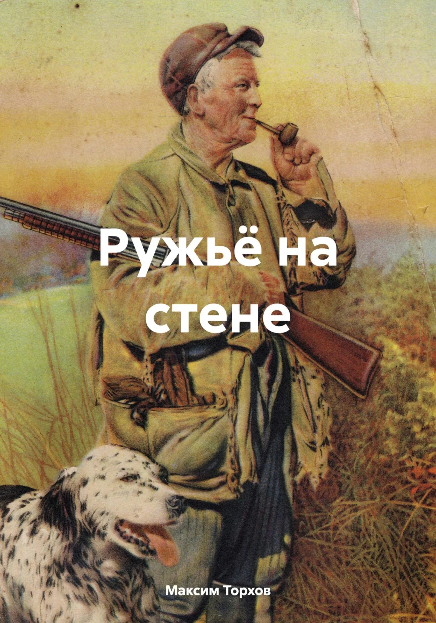 Обложка Ружьё на стене