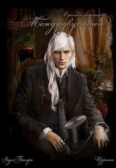 Обложка Между двух огней