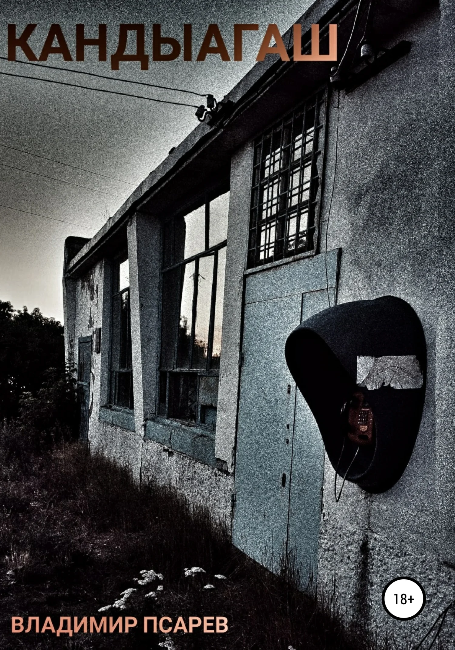 Обложка Кандыагаш