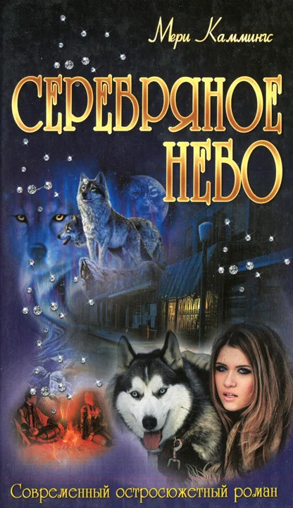 Обложка Серебряное небо