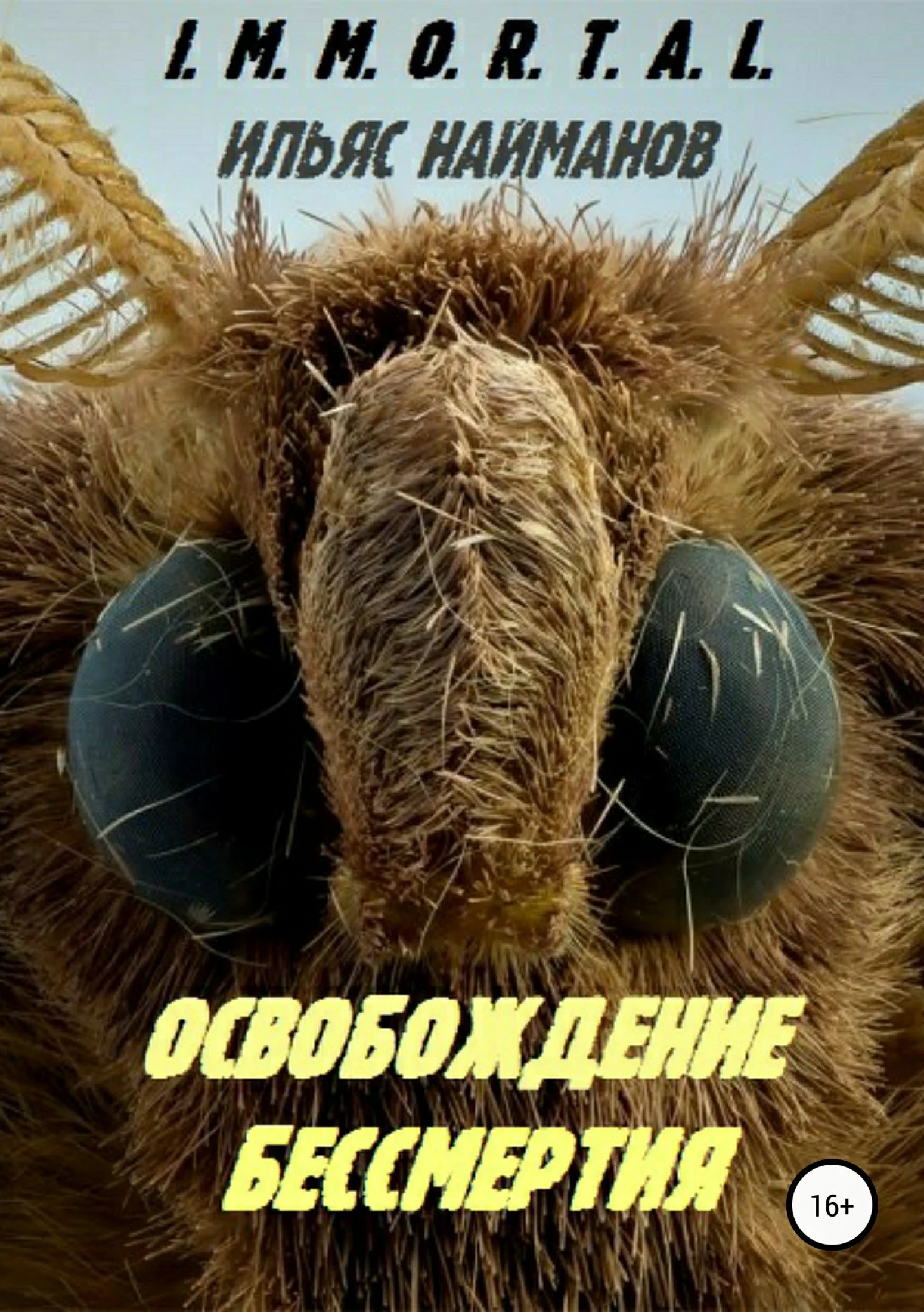 Обложка Освобождение бессмертия