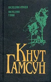 Обложка Последняя глава