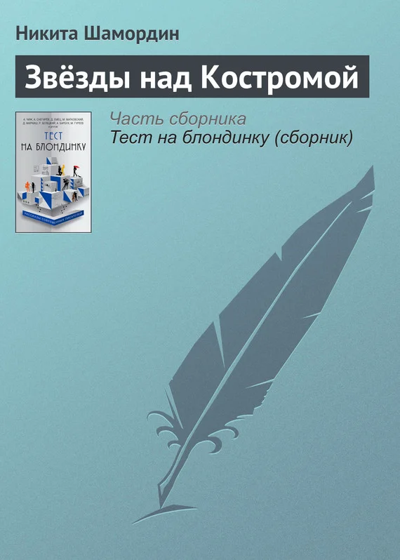 Обложка Звёзды над Костромой