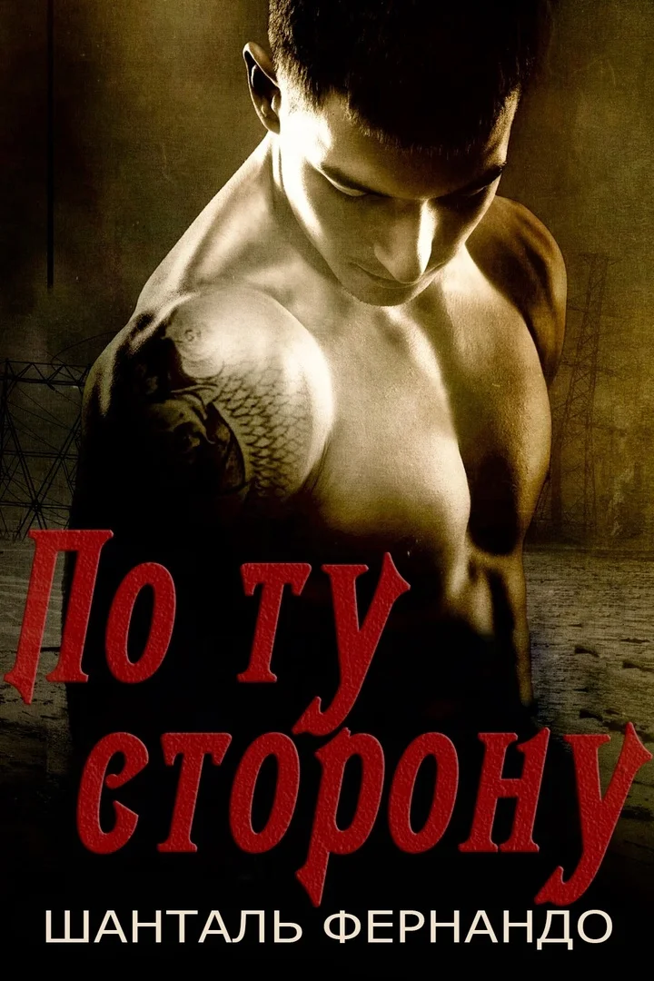 Обложка По ту сторону