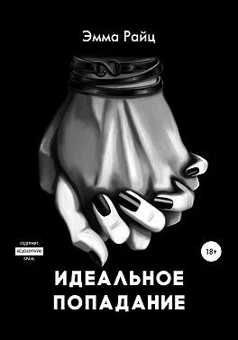 Обложка Идеальное попадание