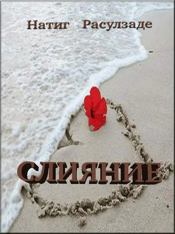 Обложка Слияние