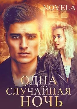 Обложка Одна случайная ночь
