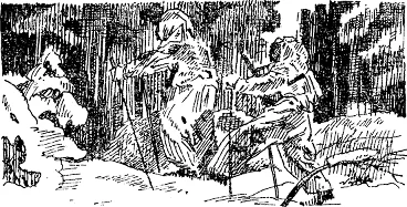 Обложка Ладога