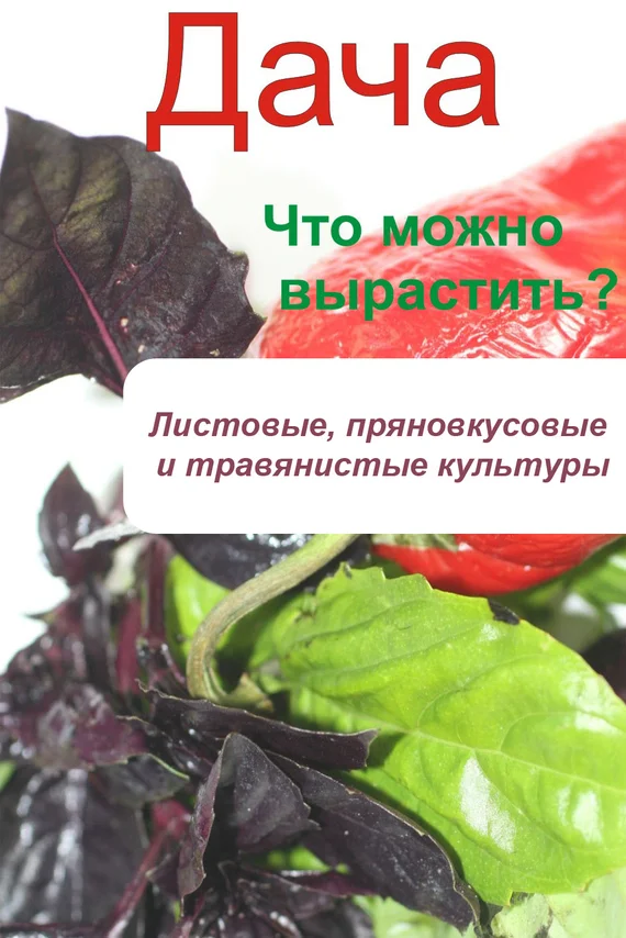 Обложка Что можно вырастить? Листовые, пряновкусовые и травянистые культуры