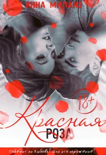 Обложка Красная роза