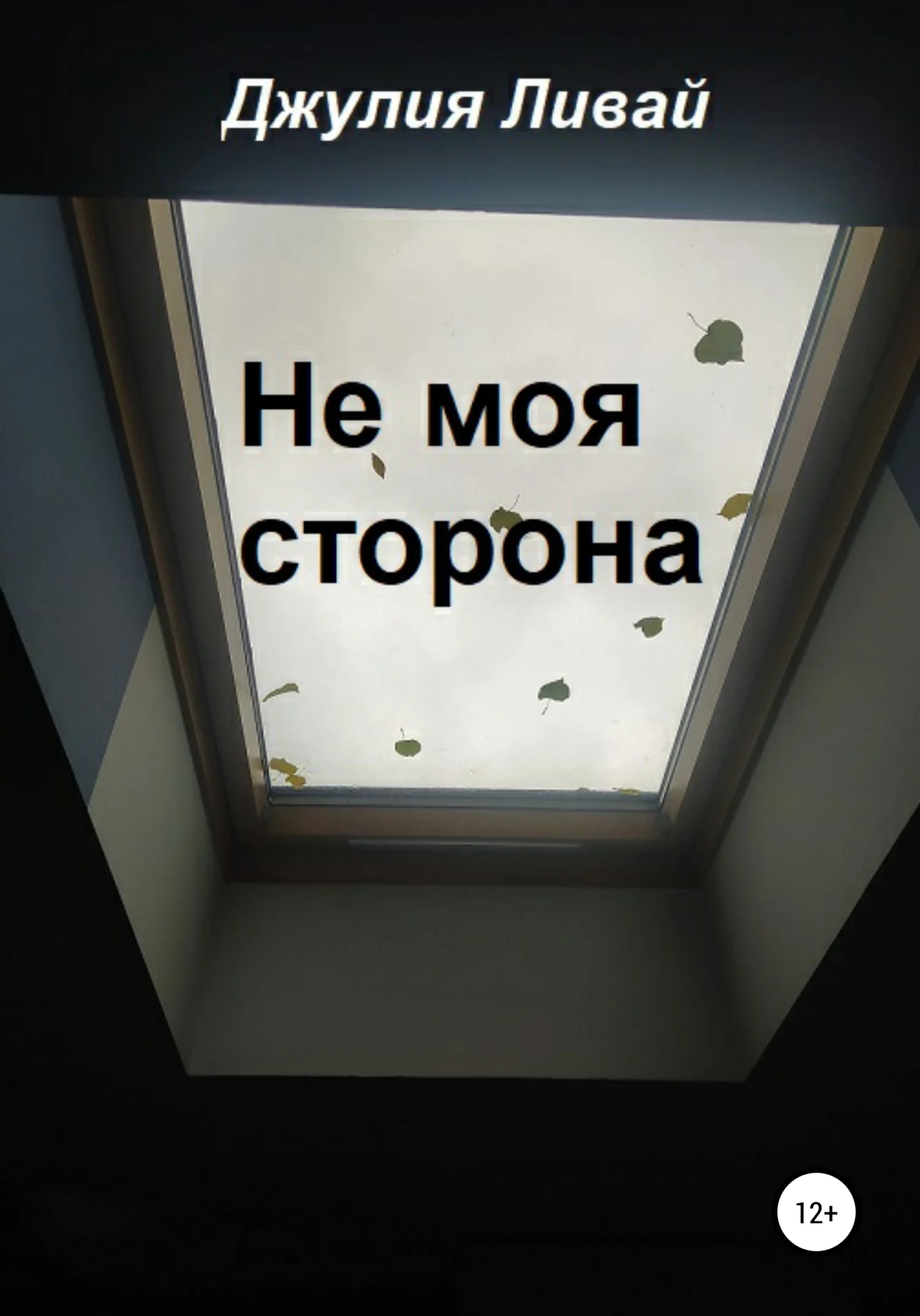 Обложка Не моя сторона