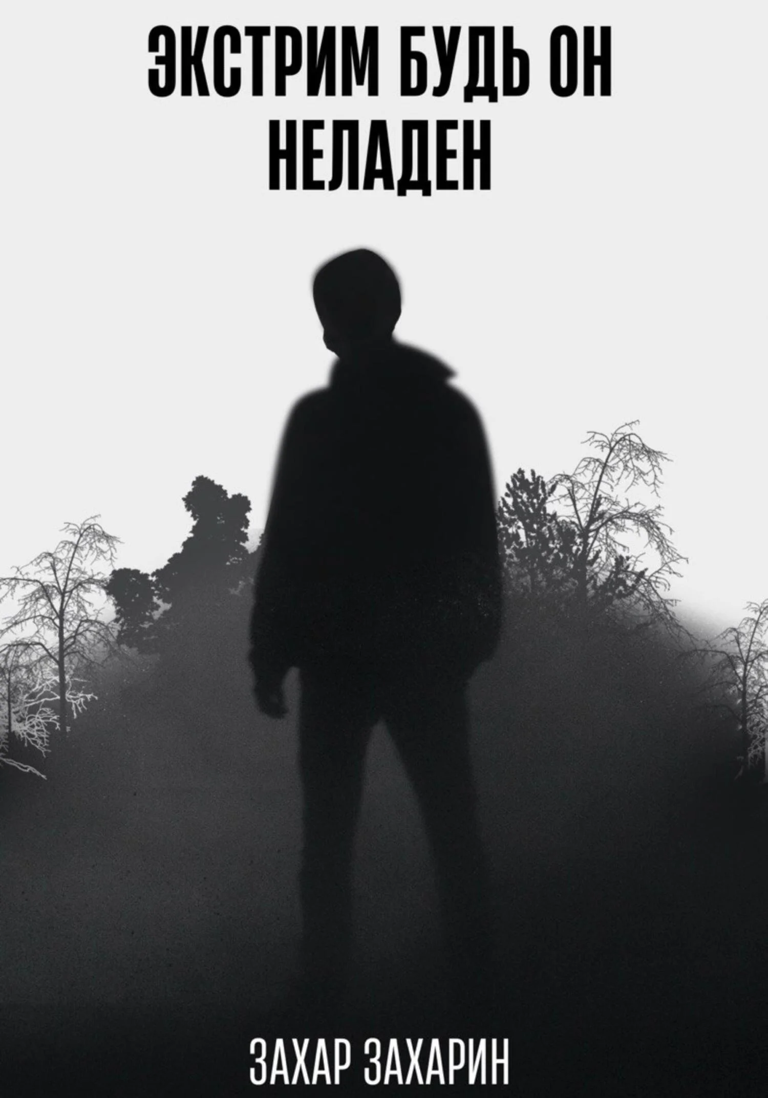 Обложка Экстрим будь он неладен