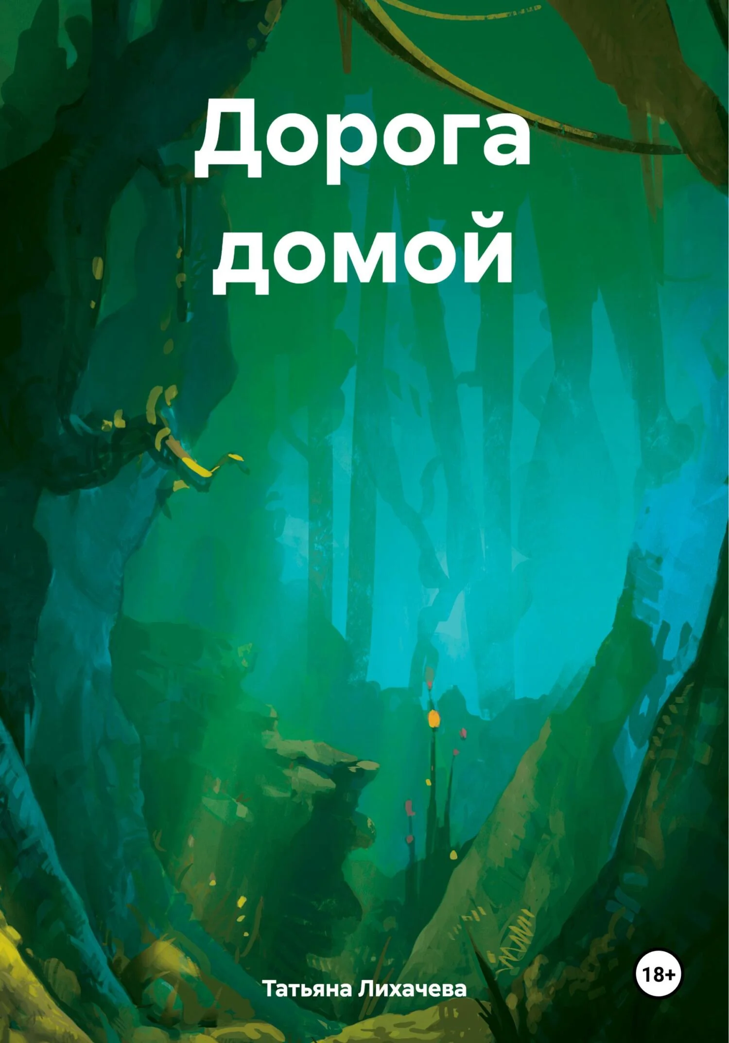 Обложка Дорога домой
