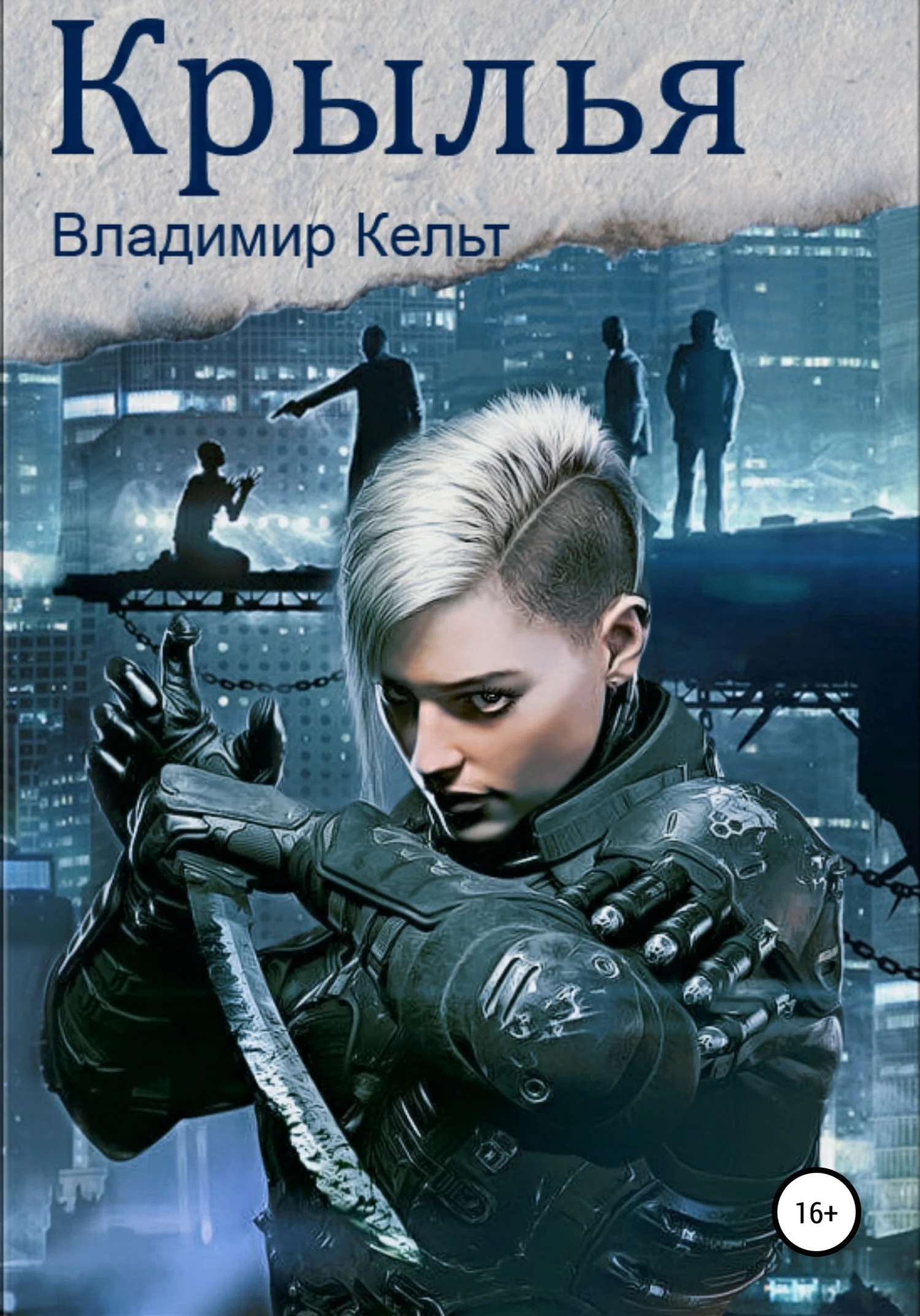 Обложка Крылья