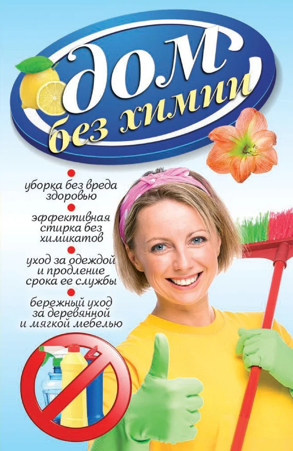 Обложка Дом без химии