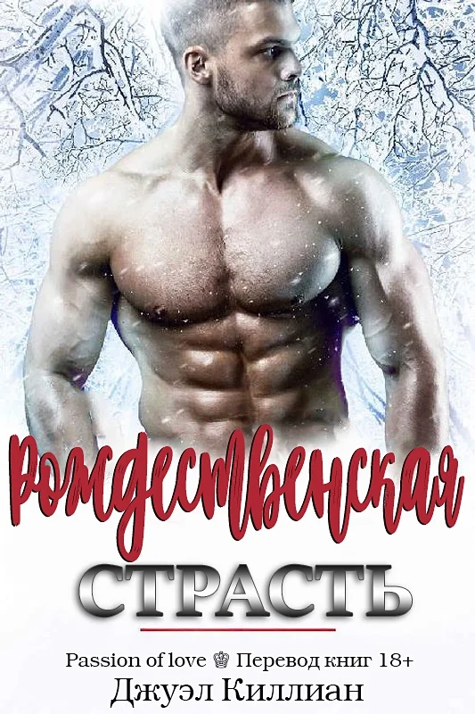 Обложка Рождественская страсть