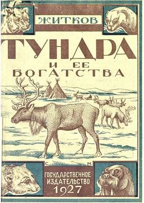Обложка Тундра и ее богатства
