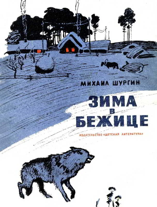 Обложка Зима в Бежице