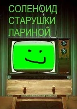 Обложка Соленоид старушки Лариной
