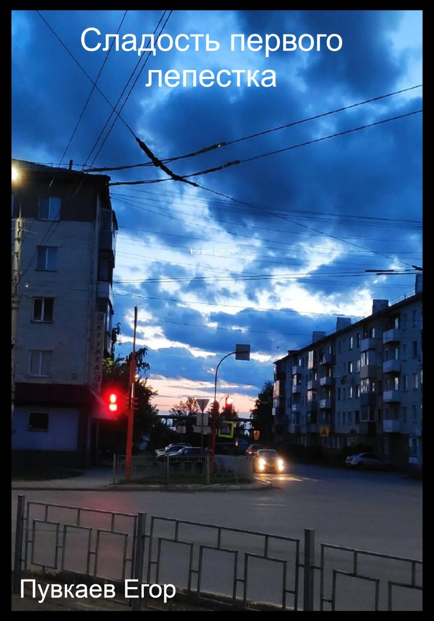 Обложка Сладость первого лепестка