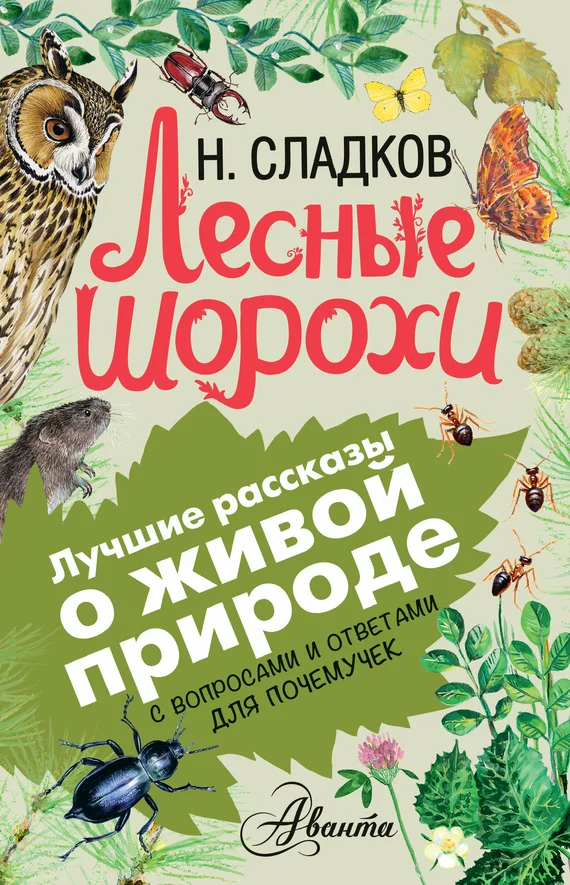 Обложка Лесные шорохи