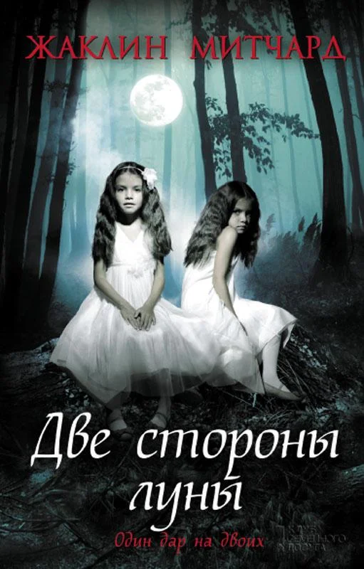 Обложка Две стороны луны