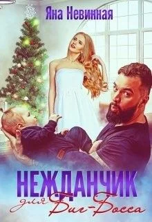 Обложка Нежданчик для Биг-Босса