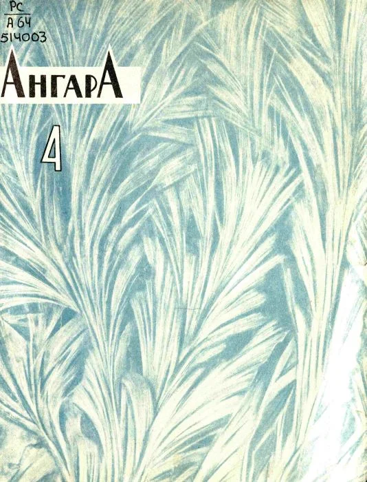 Обложка Партизанская богородица