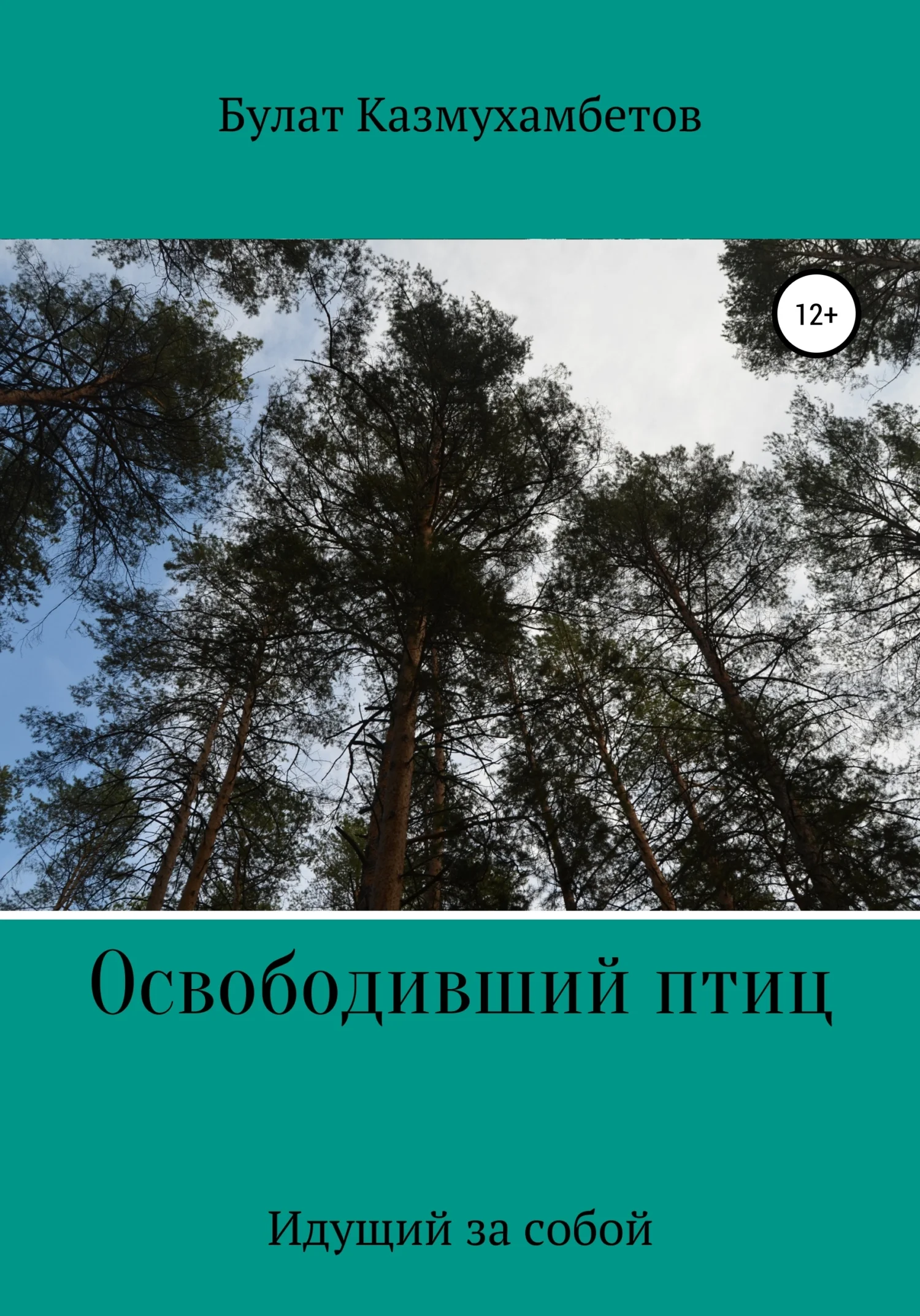Обложка Освободивший птиц