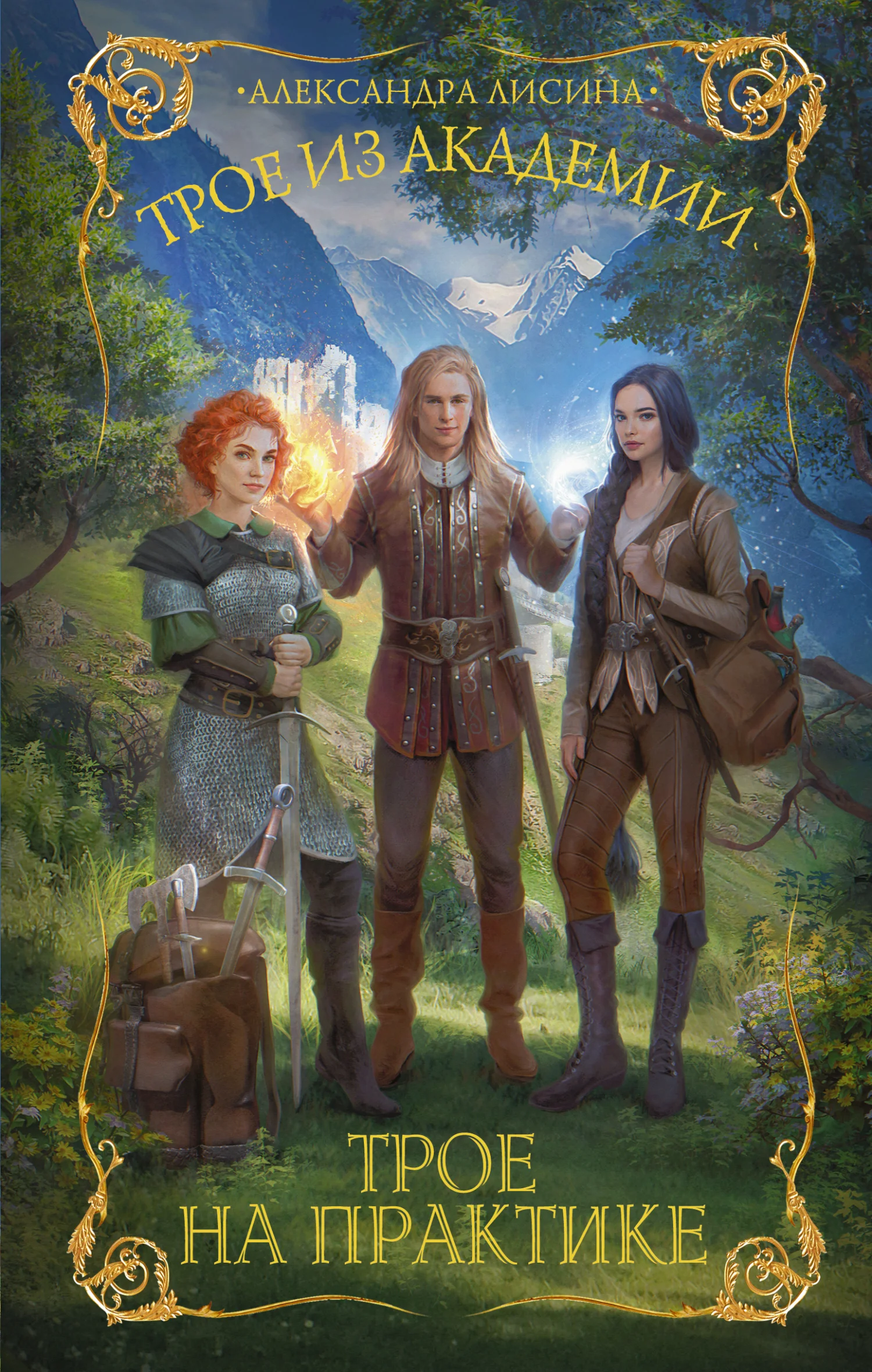 Обложка Трое на практике