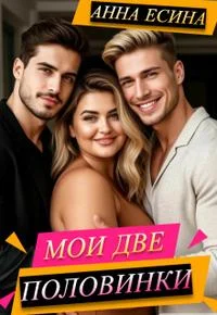 Обложка Мои две половинки