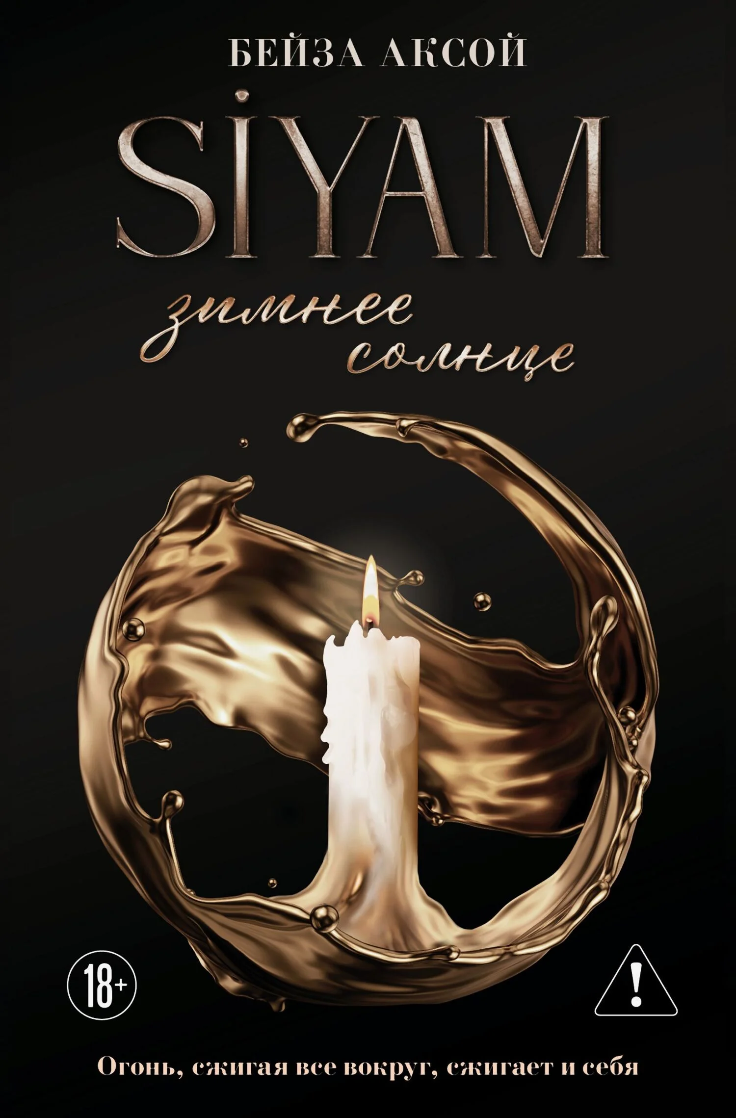 Обложка Зимнее солнце