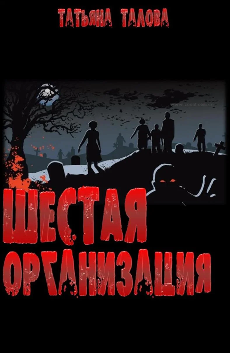 Обложка Шестая организация