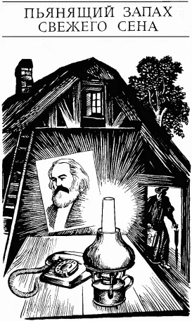 Обложка Пьянящий запах свежего сена