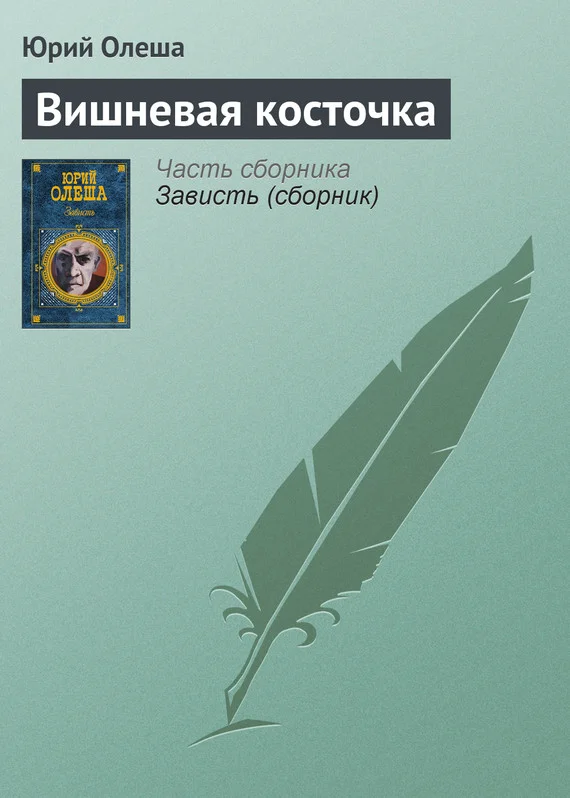 Обложка Вишневая косточка
