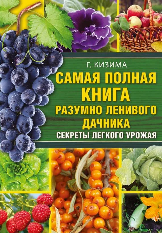 Обложка Самая полная книга разумно ленивого дачника