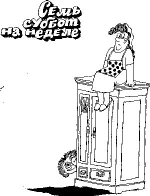 Обложка Семь суббот на неделе