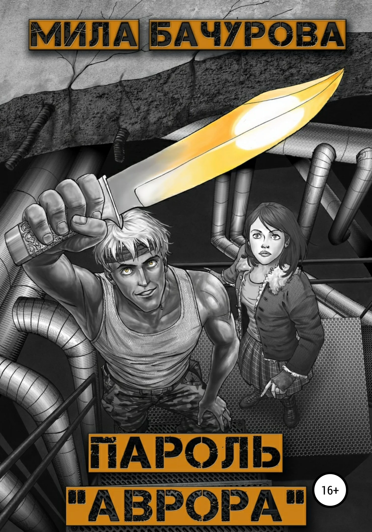 Обложка Пароль «Аврора»