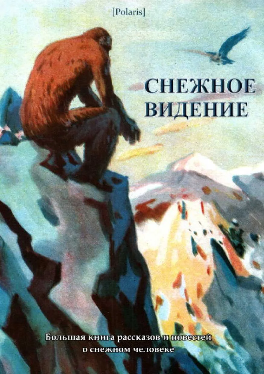 Обложка Снежное видение