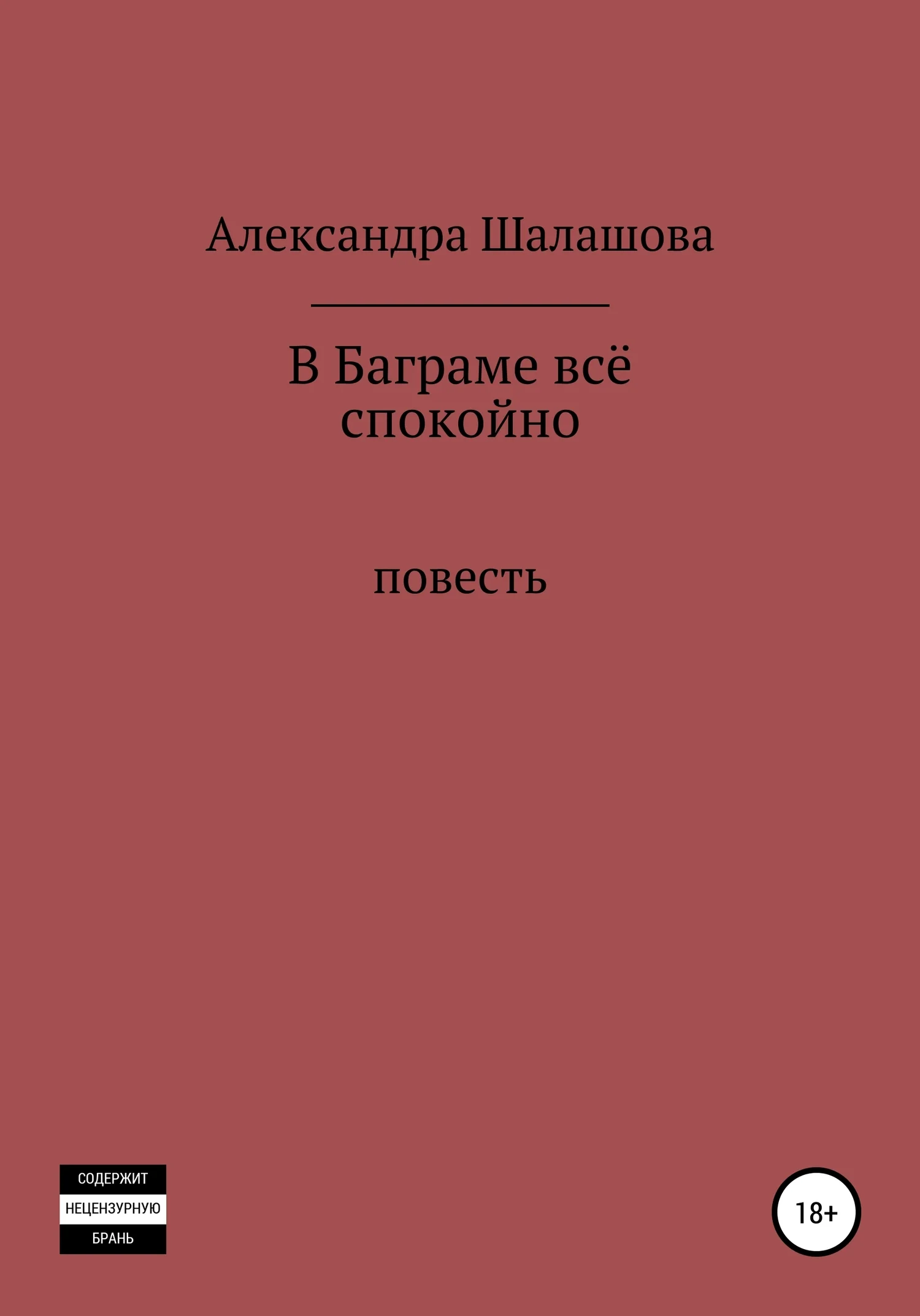 Обложка В Баграме всё спокойно