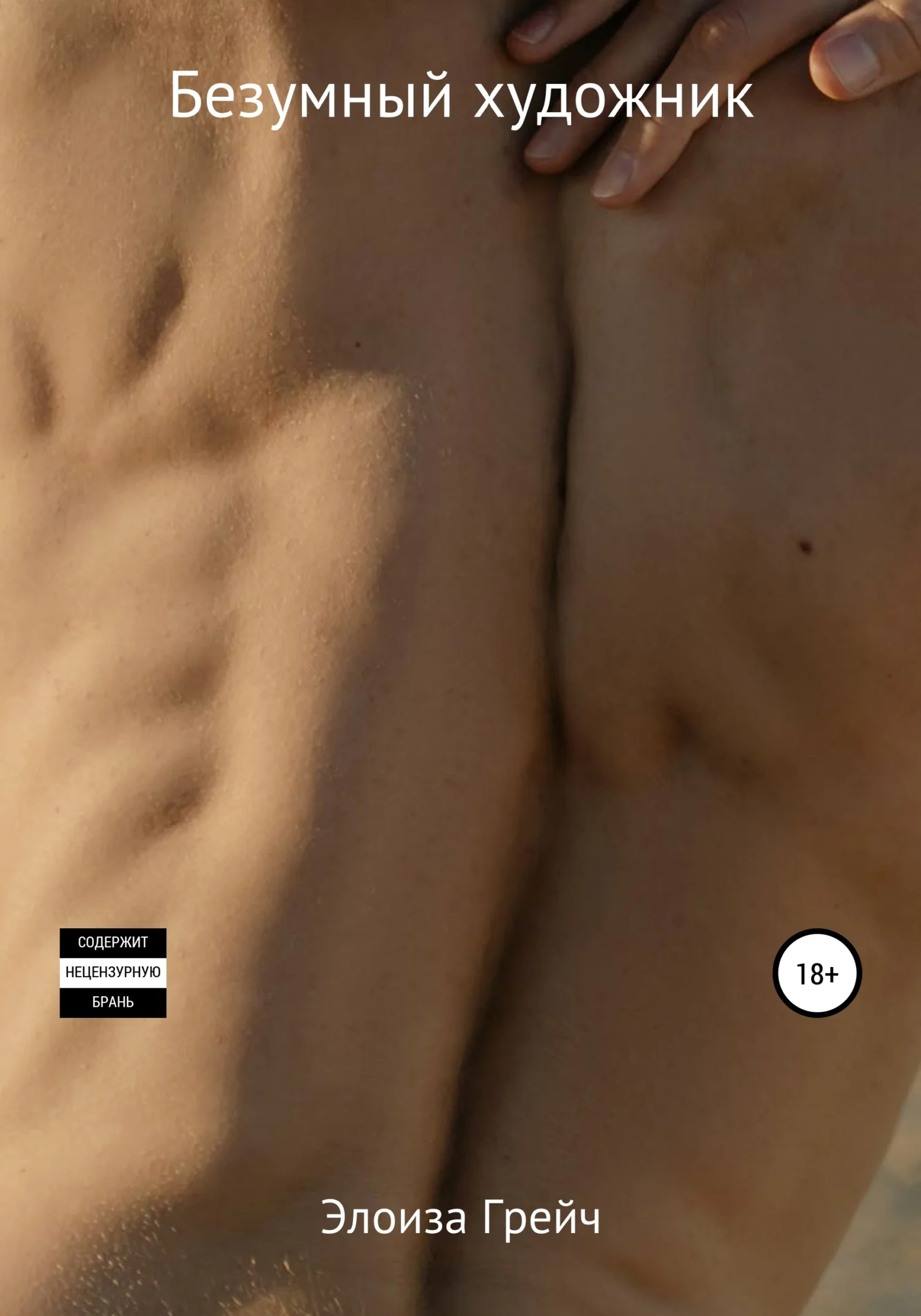 Обложка Безумный художник