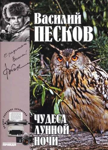 Обложка Том 15. Чудеса лунной ночи