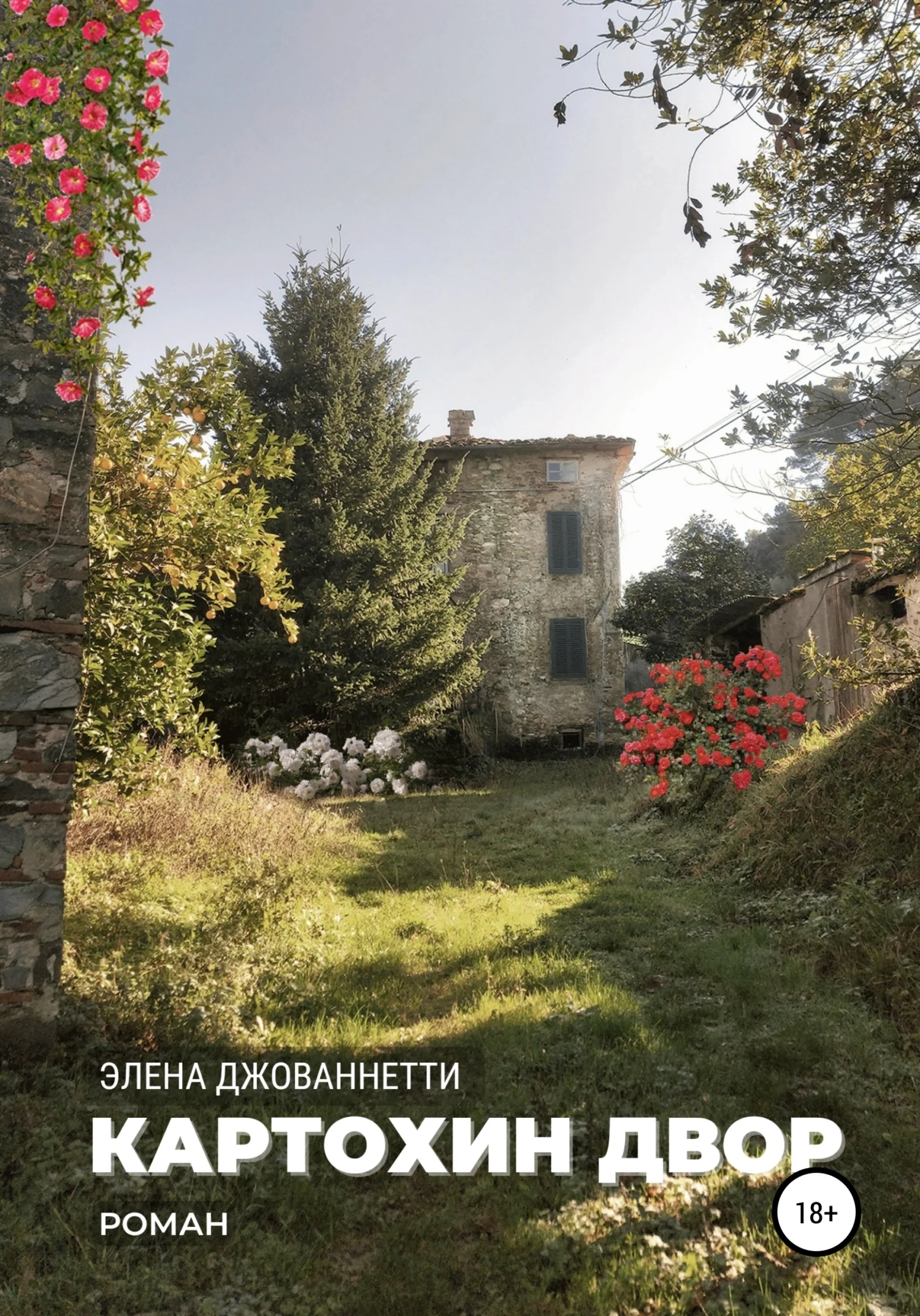 Обложка Картохин двор