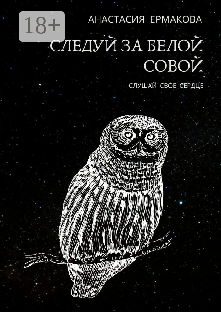 Обложка Следуй за белой совой. Слушай своё сердце