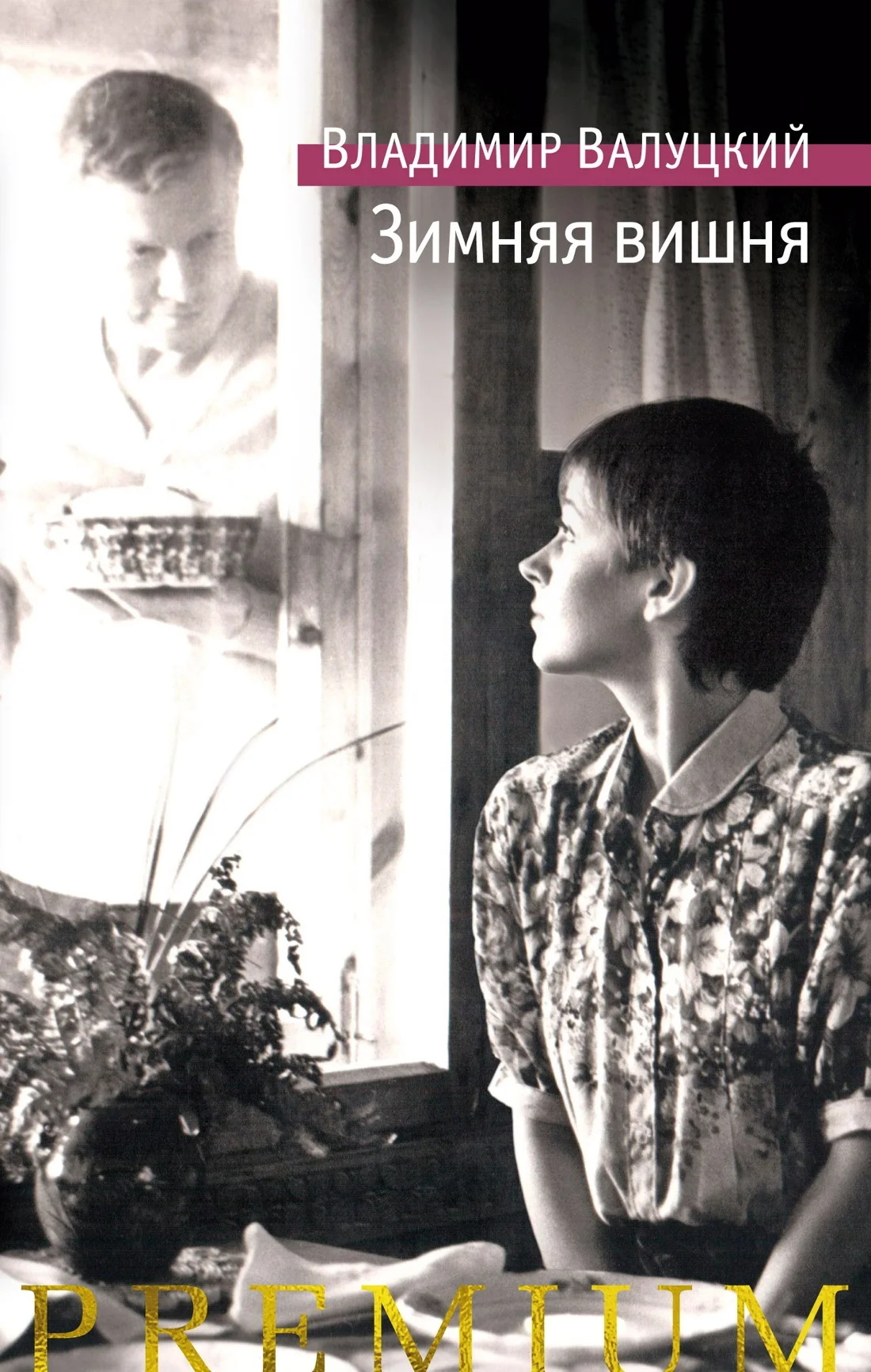 Обложка Зимняя вишня