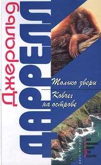 Обложка Ковчег на острове