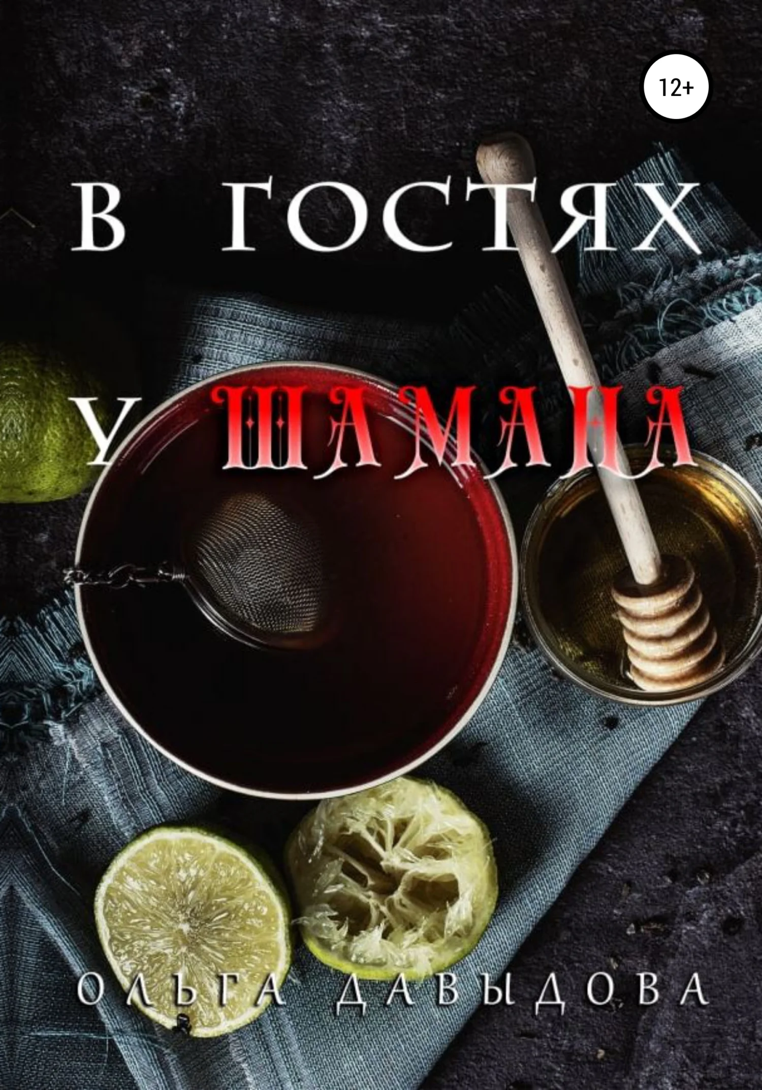 Обложка В гостях у шамана